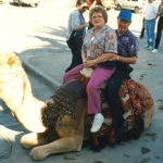 1980s camel